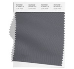 color sample of a shade of gray called quiet shade